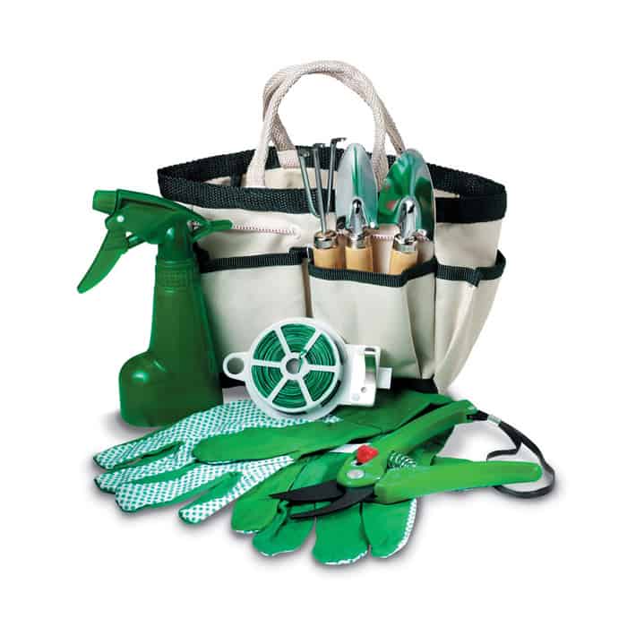 Regalo set de jardí para escritorio